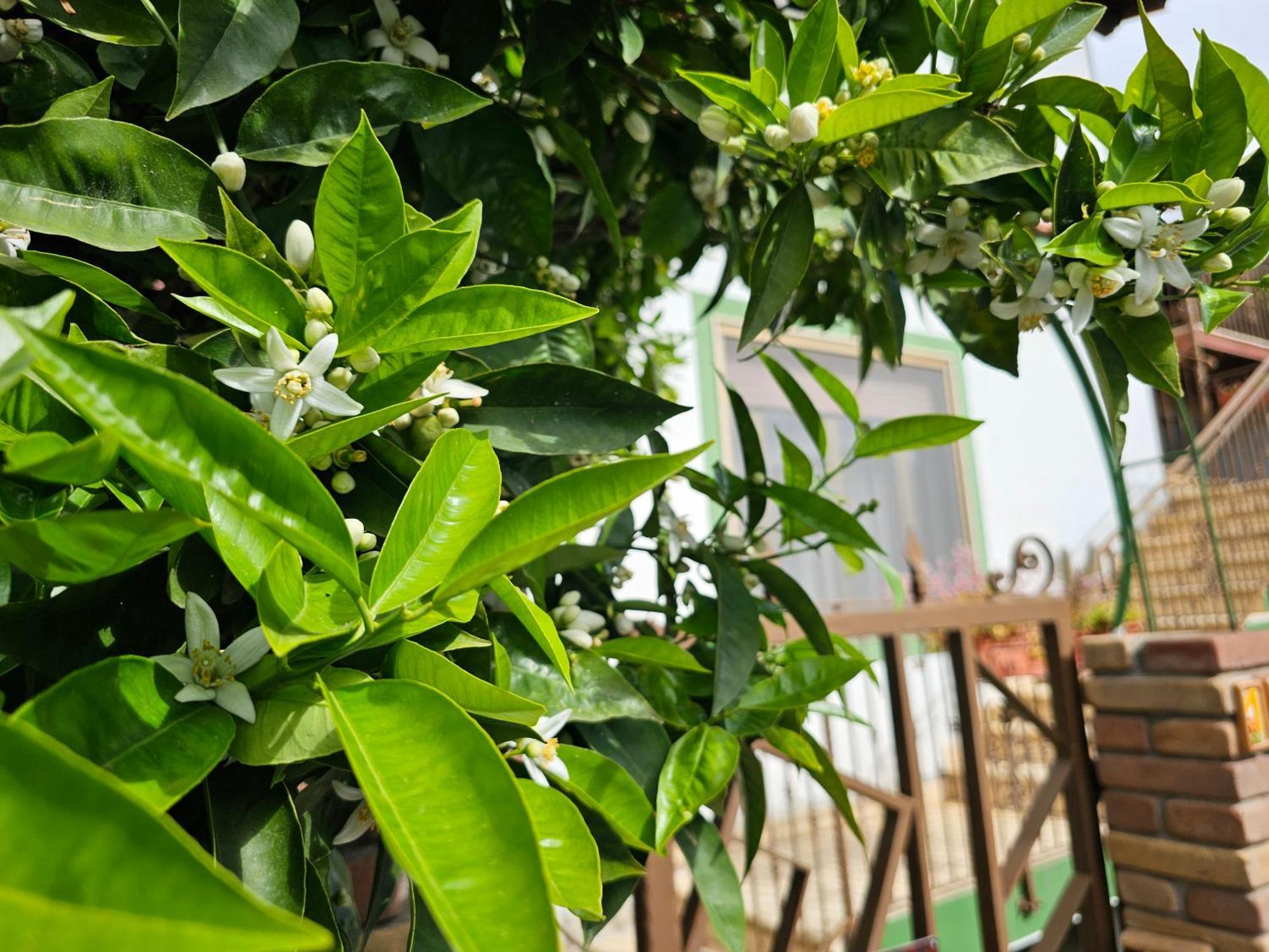 Casa Serena Serdiana 外观 照片